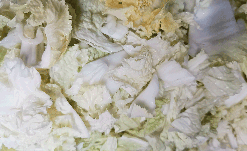 ZW-613D清洗機(jī)(渦流震動(dòng)式)