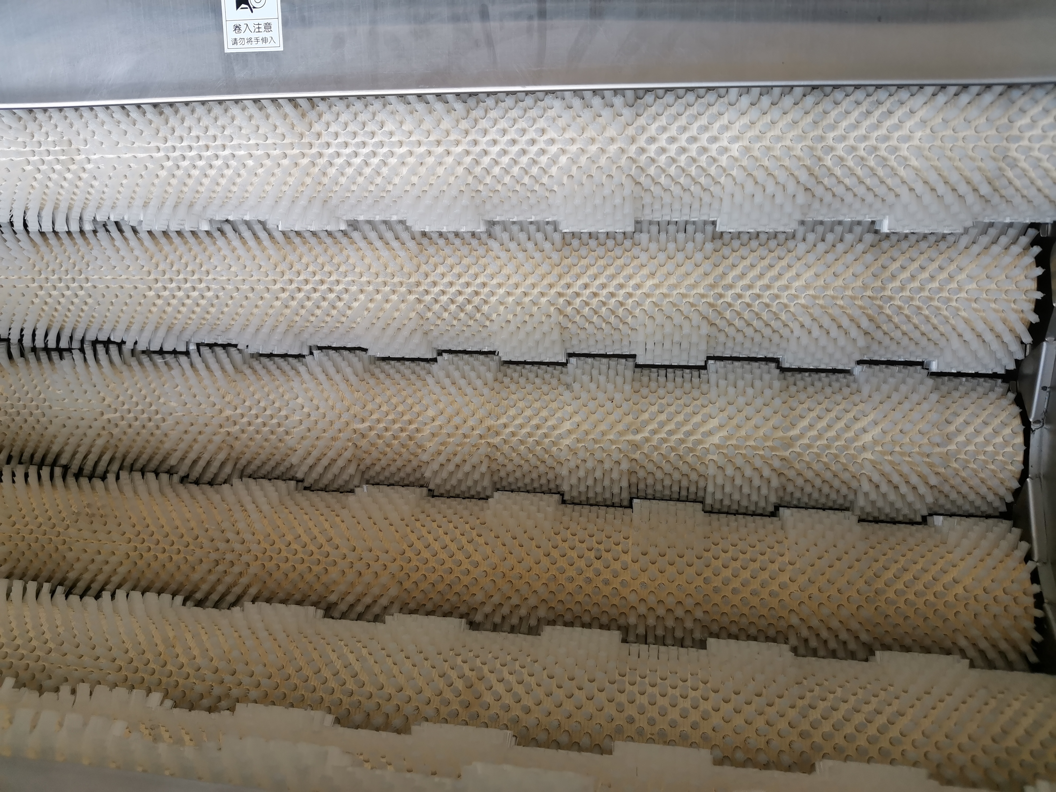 ZW-918清洗去皮機，土豆去皮機